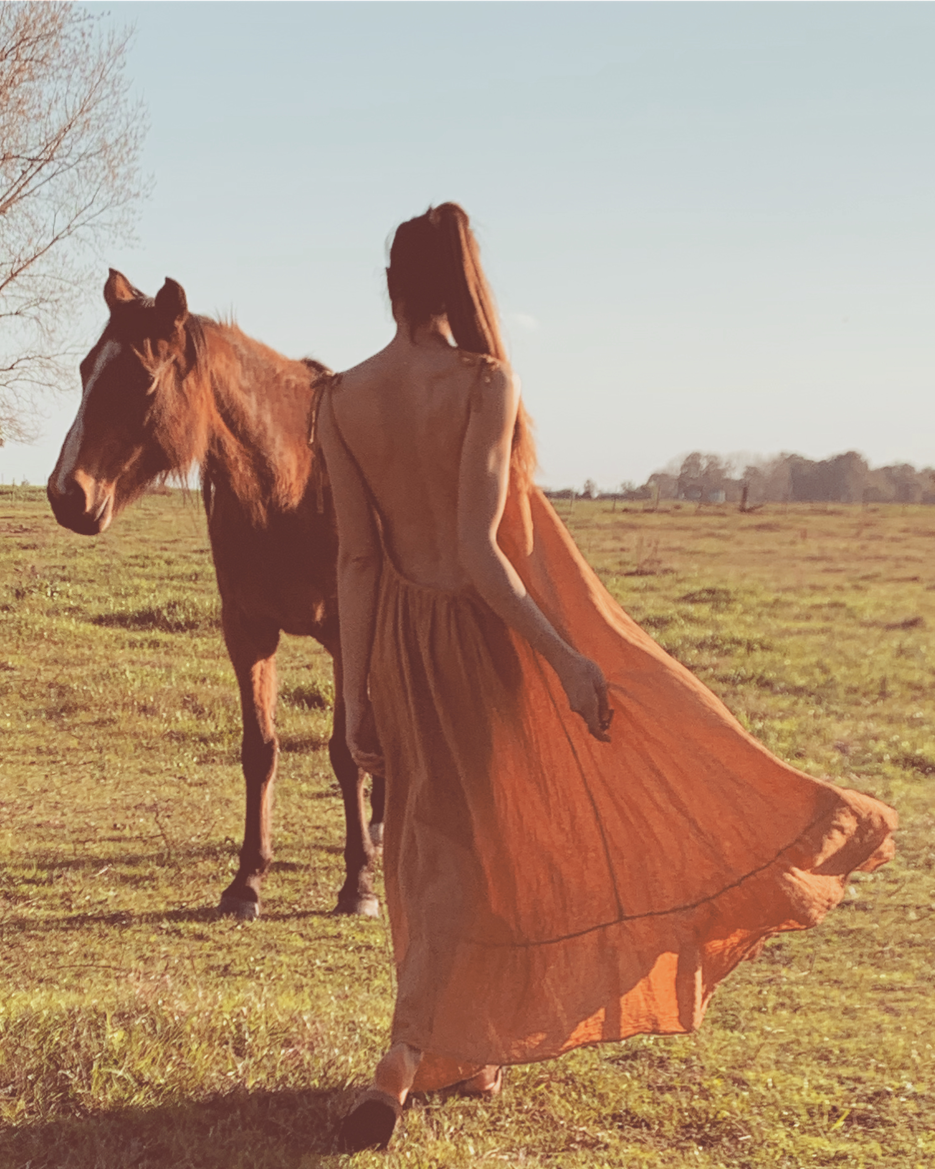 Banner de Timo cotton