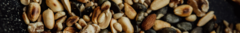 Banner de la categoría FRUTOS SECOS