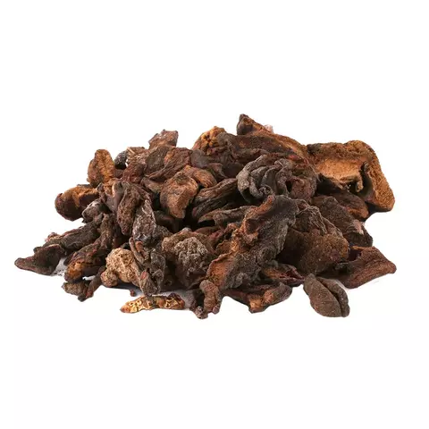 HONGO DE PINO SECOS 100GR