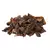HONGO DE PINO SECOS 100GR