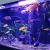 Luminária ForFish LED Aquário Ciclídeos 40W WiFi - ForFish