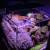 Luminária ForFish LED Aquário Marinho 40W WiFi - ForFish