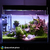 Luminária ForFish LED Plantado SunRed Plus 120 WiFi - ForFish