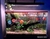 Luminária ForFish LED Plantado SunRed Plus 40 WiFi - comprar online