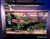 Luminária ForFish LED Plantado SunRed Plus 100 WiFi - ForFish