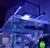Luminária ForFish Smart Linea 80 - loja online