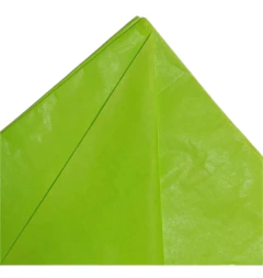 Papel Seda Colores Lisos (Pack x10) - comprar online