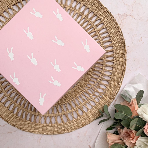 Caja SORPRESA BUNNY Huevo N12 + Ranura (17x17x10)