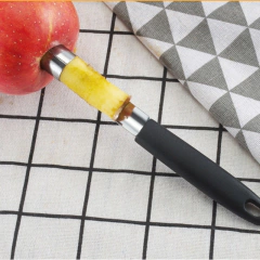 Removedor Tira Talo de Fruta em aço inox - comprar online