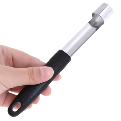 Removedor Tira Talo de Fruta em aço inox na internet