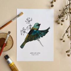 Fine Art Saíra-sete-cores "Voar"