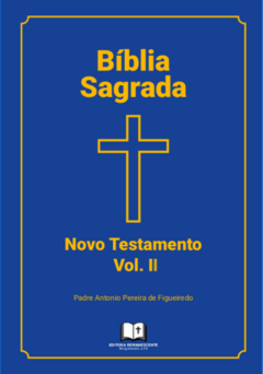 NOVO TESTAMENTO volume 2 - ESGOTADO