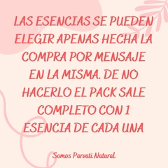 Combo Esencia Aromatica 100ml x 10 - comprar online