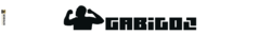 Banner da categoria Gabigol