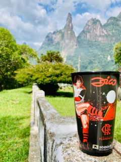 Copo Flamengo Zico Caricatura Preto - UN na internet