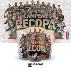 Copo Campeão Recopa Fluminense