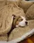 Manta de Cordelito Bifaz para Mascotas - comprar online