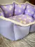 Cama para Perros y Gatos - línea MARGARITAS exclusiva | TOBA Diseño Animal
