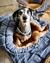 Cama MANTA TUBO Térmica y Reversible para Perros y Gatos - línea TUSOR | TOBA Diseño Animal - comprar online