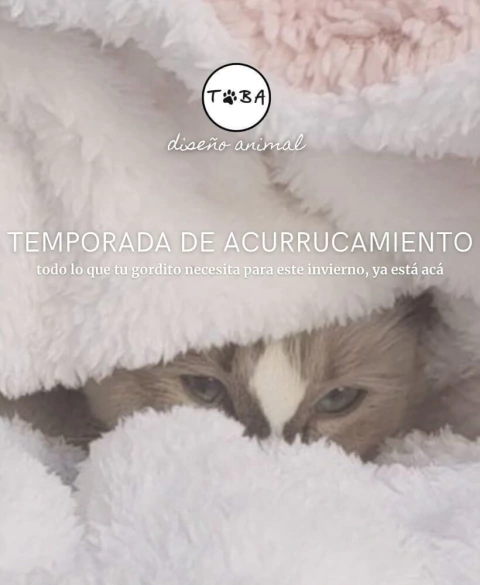Carrusel 1