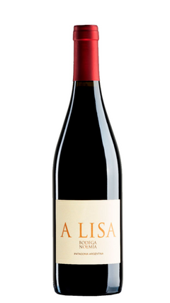 Noemía A Lisa Malbec Magnum 2021
