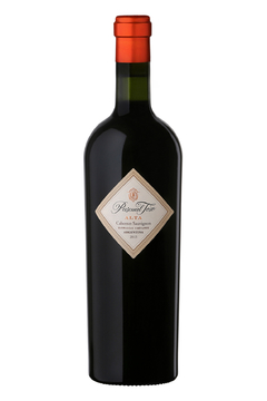 Pascual Toso Alta Cabernet Sauvignon 2019