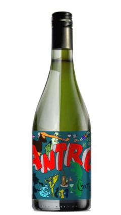 Tutu Wines Antro Chardonnay 2024