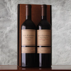 Wine Box Catena Zapata