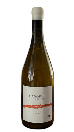 Canopus Blanco Five Easy Pieces Semillón 2024