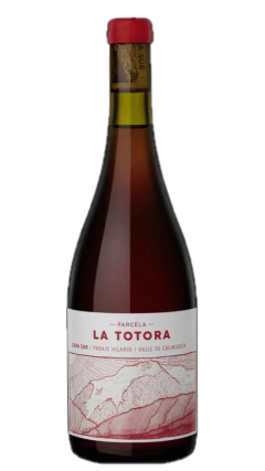 Cara Sur Parcela La Totora 2021