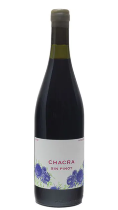 Chacra Sin Azufre Sin Pinot Malbec 2022