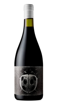 Conscientemente Viticultores Pinot Noir 2023