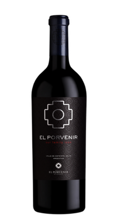 El Porvenir Icono 2020 - comprar online