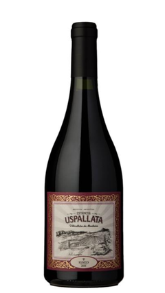 Estancia Uspallata Ígneo 2019