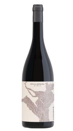 Escala Humana Livverá Cabernet Sauvignon 2022