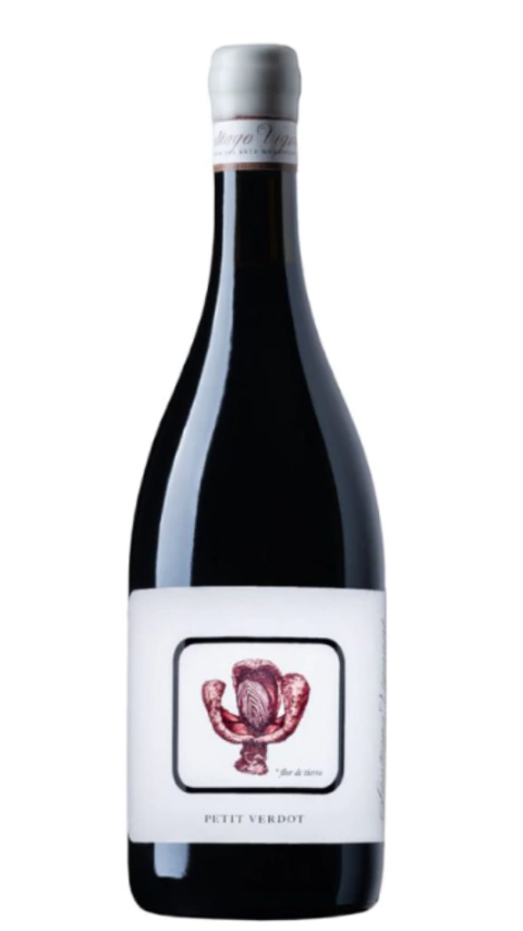 Macollo Petit Verdot 2022