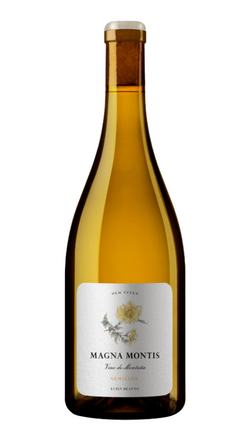 Magna Montis Semillón Old Vines 2023
