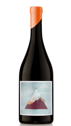 Nodo Cabernet Franc de Gualtallary 2022