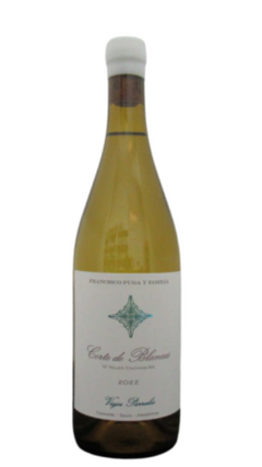 Francisco Puga Corte de Blancas 2022