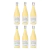 Riccitelli Invader Chenin Blanc Caja x6un