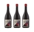 Ver Sacrum La Dama del Abrigo Rojo Nebbiolo - Caja x 3 unidades