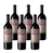 Martir Cabernet Franc Caja por seis unidades