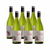 Paula Chardonnay Caja por seis unidades
