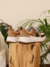 Zapatillas Orlando - Justa Luloaga