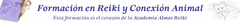 Banner de la categoría Formación en Reiki y Conexión Animal