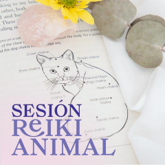 Reiki animal a distancia