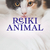Banner de almasreiki