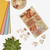 Gift Box Kit Broches Talbot Golden Rose Collection Surtido en internet