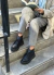 TURIN Cuero - tienda online