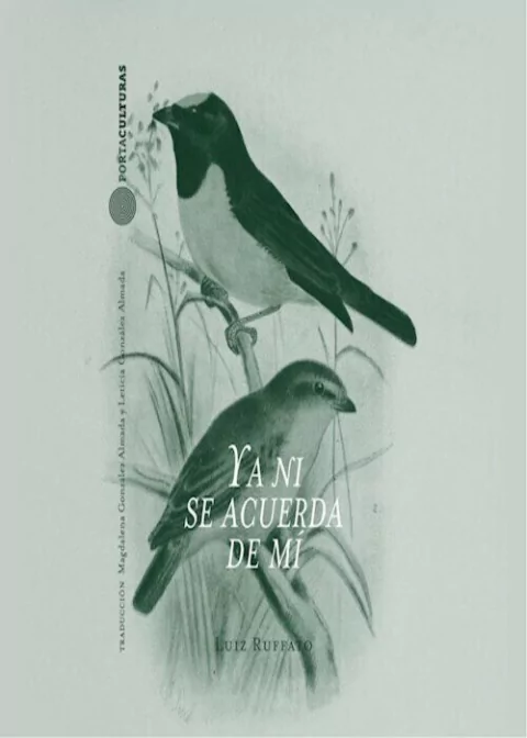 Ya ni se acuerda de mí, Luiz Ruffato de Souza